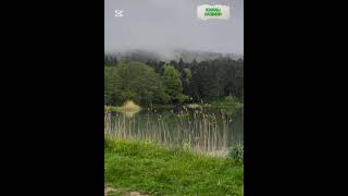 #bolu #gölcük #millipark #city #travel #gezi #gezilecekyerler #gezgin #türkiye #turkey #orman #doğa