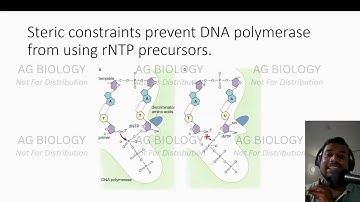 DNA Replication Part 1 | Mechanisms of Enzymes: DNA Polymerase | CSIR NET Life Sciences | GATE XL