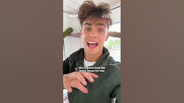 GUYS!!! ❤️ ‘WE BUILT A ZOO’ IS TRENDING!! 🎥 GO WATCH…!!! @BBC Three  #kylethomas #shorts