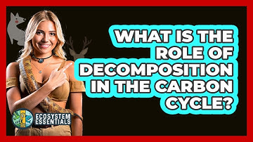 What Is The Role Of Decomposition In The Carbon Cycle? - Ecosystem Essentials