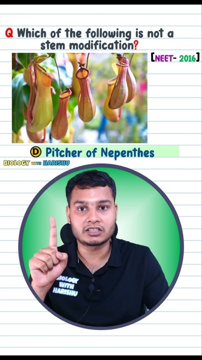 which-is-not-a-stem-modification-neetpyqs-youtube