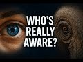 The Mystery of Consciousness. Are We Alone in Awareness?