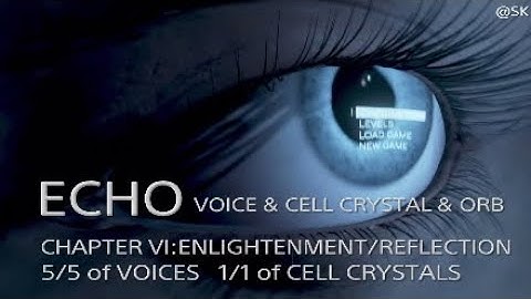 ECHO CHAPTER VI:ENLIGHTENMENT/REFLECTION 5/5 of VOICES   1/1 of CELL CRYSTALS