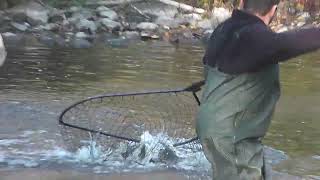 Мощная рыбалка на кабанов