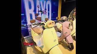 Nasir Syntax All Electric bike Price Update