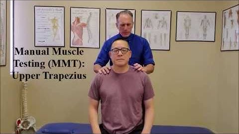 Manual Muscle Test (MMT) Trapezius (Traps)