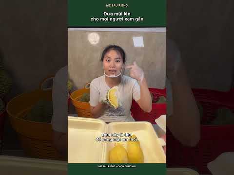 Sầu riêng Thái miền Tây: màu cơm khiến bạn tưởng Ri6? | Mê Sầu Riêng