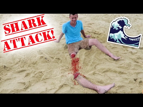 shark-attack-beach-prank!!---how-to-pranks