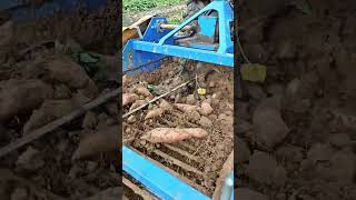 Satisfying Agriculture Machine In Action #shorts
