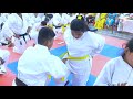 karate (Yellow Belt)