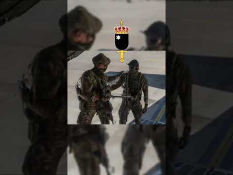 War and Order: Elite War - They Said INC Had No Chance… Then THIS Happened 15.10.2025 INC vs TLS