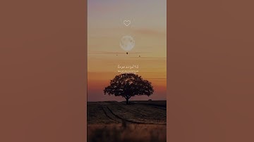 {فاستجاب لهم ربهم أني لا أضيع عمل عامل منكم من ذكر أو أنثى بعضكم من بعض} القارئ|محمد صديق المنشاوي