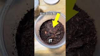 Do Not Touch It 😨