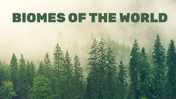 TERRESTRIAL BIOMES OF THE WORLD