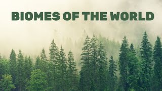 TERRESTRIAL BIOMES OF THE WORLD
