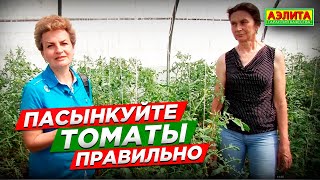 Пасынкование томатов ТОЛЬКО ТАКИМ СПОСОБОМ. Ошибки садоводов.