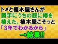 【植木屋さんGJ】トメと植木屋さんがうちの庭に椿を植えた。植木屋さんが小声で「あの木は大事にして。3年でわかるよ」<スカッとまつり>