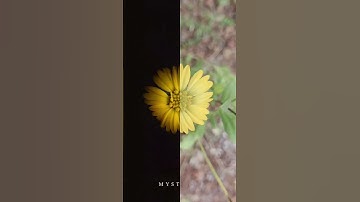 wait for it!! #shorts #shortvideo #editing #shortvideos #viral