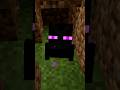 IL MISTERO dei MINI ENDERMAN su MINECRAFT