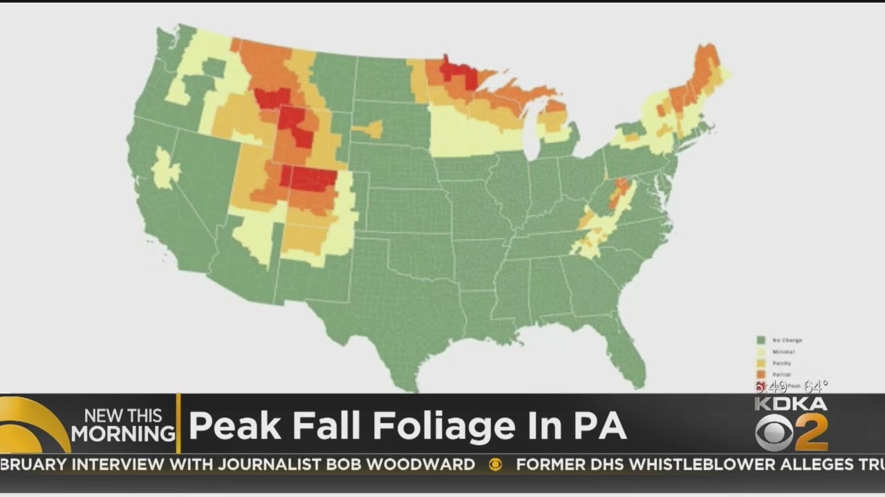 Peak Fall Foliage In Pennsylvania