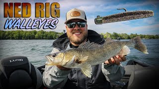 Ned Rig: The best WALLEYE bait no one’s throwing