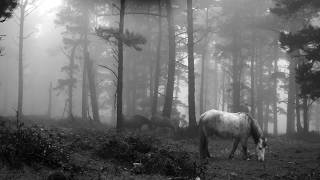 Paisaxes Da Capelada Landscapes Of A Capelada - 2017 - Trailer