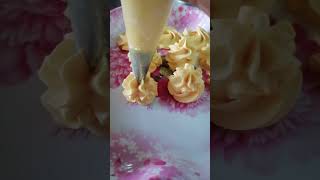 1Mtip Practice Piping Vanilla Ercream