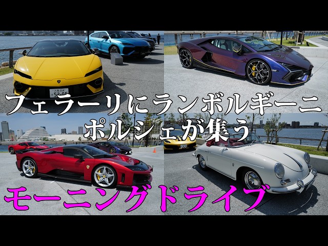 フェラーリ、ランボルギーニ、ポルシェなどスーパーカー、ロールス