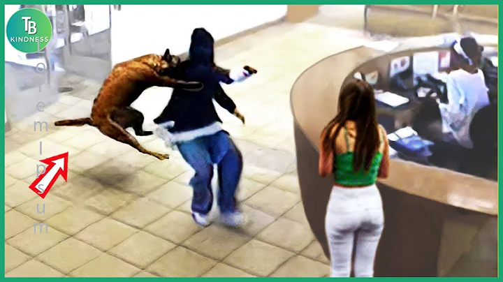 50 Hero Animals That Saved Human Lives | Best Moments of 2025 #5