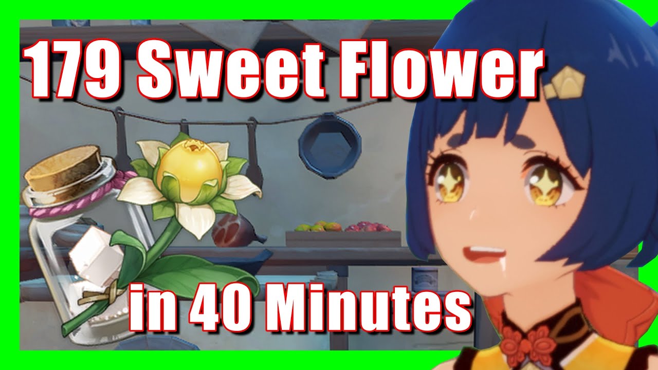 179 Sweet Flower in 40 Minutes Mondstad Region Material Farm