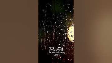 يا ايها الذين أمنوا اركعوا واسجدوا واعبدوا ربكم | سورة الحج (٧٧) | عبدالرحمن مسعد | تصاميم للأيات