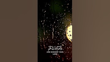 يا ايها الذين أمنوا اركعوا واسجدوا واعبدوا ربكم | سورة الحج (٧٧) | عبدالرحمن مسعد | تصاميم للأيات