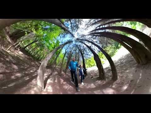 Digomi Forest | დიღმის ტყე-პარკი