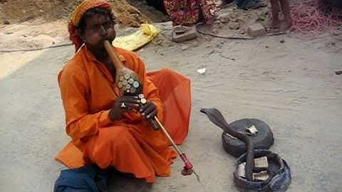 wake up call by "Snake Charmer in Gurgaon" PART - II