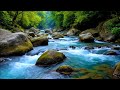 Calming Mountain River | Relaxing Flowing Water Sounds for Healing &amp; Deep Meditation
