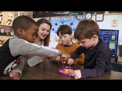 STEAM Initiative at The Maddux School