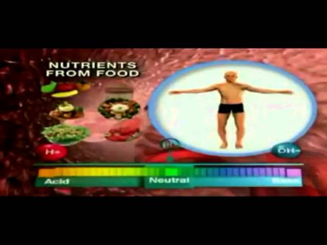 Água Alcalina a Descoberta MD