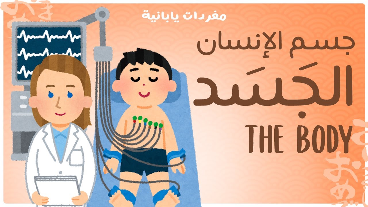 جسم الإنسان: الجسد - The Body - مفردات يابانية