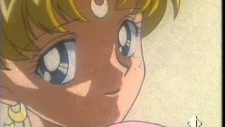 Petali di stelle per Sailor Moon @sydneysmog