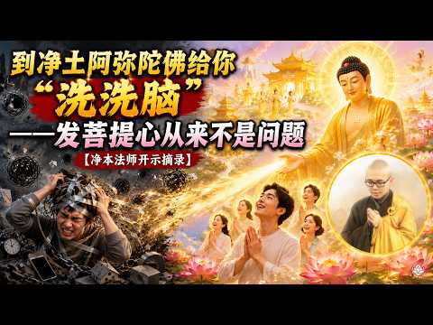 到净土阿弥陀佛给你「洗洗脑」——发菩提心从来不是问题｜净本法师开示｜《往生论注》讲记 第五集节录