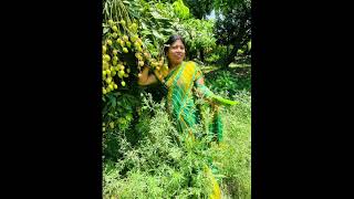 Muzaffarpur k famous Lichi ❤️❤️👌#shorts #trending #viral #video #Lichi 😍❤️👌