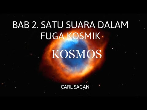 Video: Bilakah manusia muncul pada kalendar kosmik?