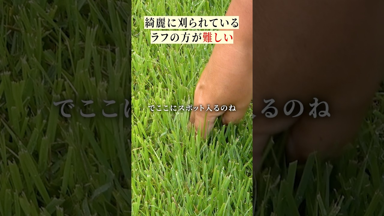 【知らなかった…】夏ラフは綺麗にメンテナンスされてる方が難しい！？#ゴルフスイング #ゴルフ初心者 #ラフ