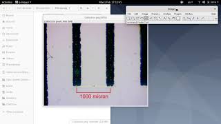 Using ImageJ to measure microneedle length