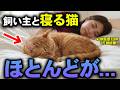 【衝撃】猫のよくする行動に隠された本当の気持ちを獣医師が解説