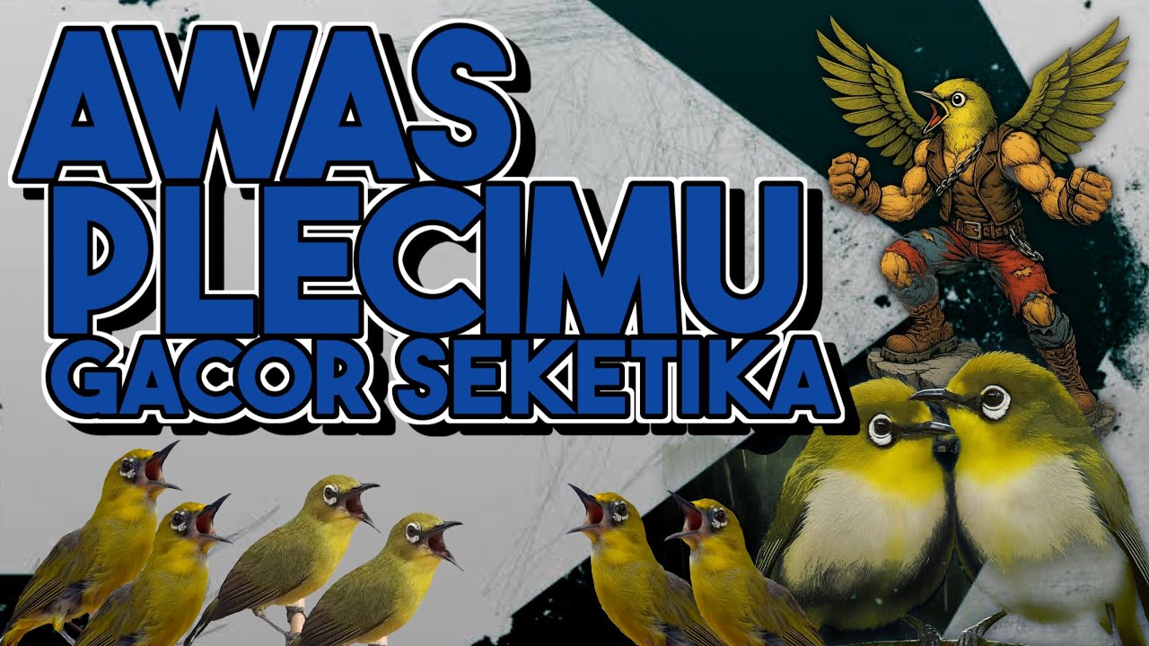 🔴  LIVE Terapi Pleci Cepat Gacor Buka Paruh 100% Ampuh