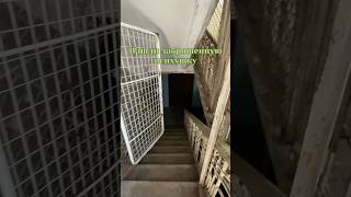 Заброшенная психбольница