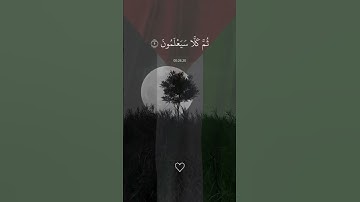 عبدالرحمن مسعد/سورة النبا/عم يَتَسَاءَلُونَ عَنِ النَّبَا الْعَظِيمِ الَّذِي هُمْ فِيهِ مُخْتَلِفُون