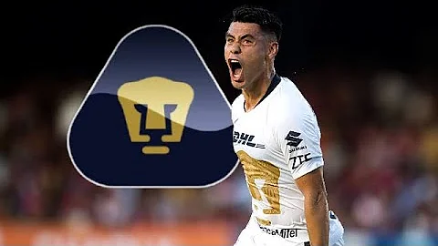 Los 19 Goles de Felipe Mora con Pumas