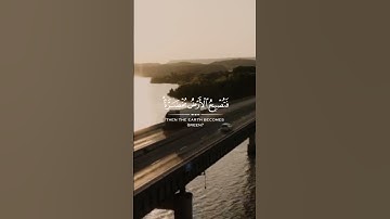 ابدأ يومك بنور القرآن | تلاوة خاشعة وسكينة في القلب بعد صلاة الفجر